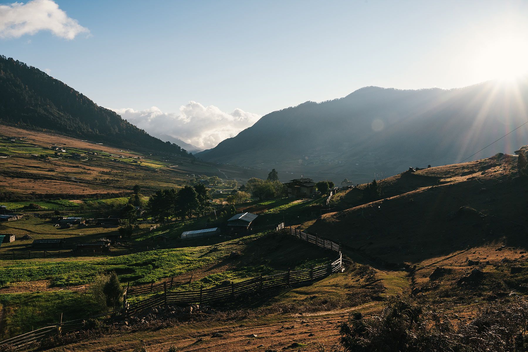 Phobjika by Matt Dutile16.jpg