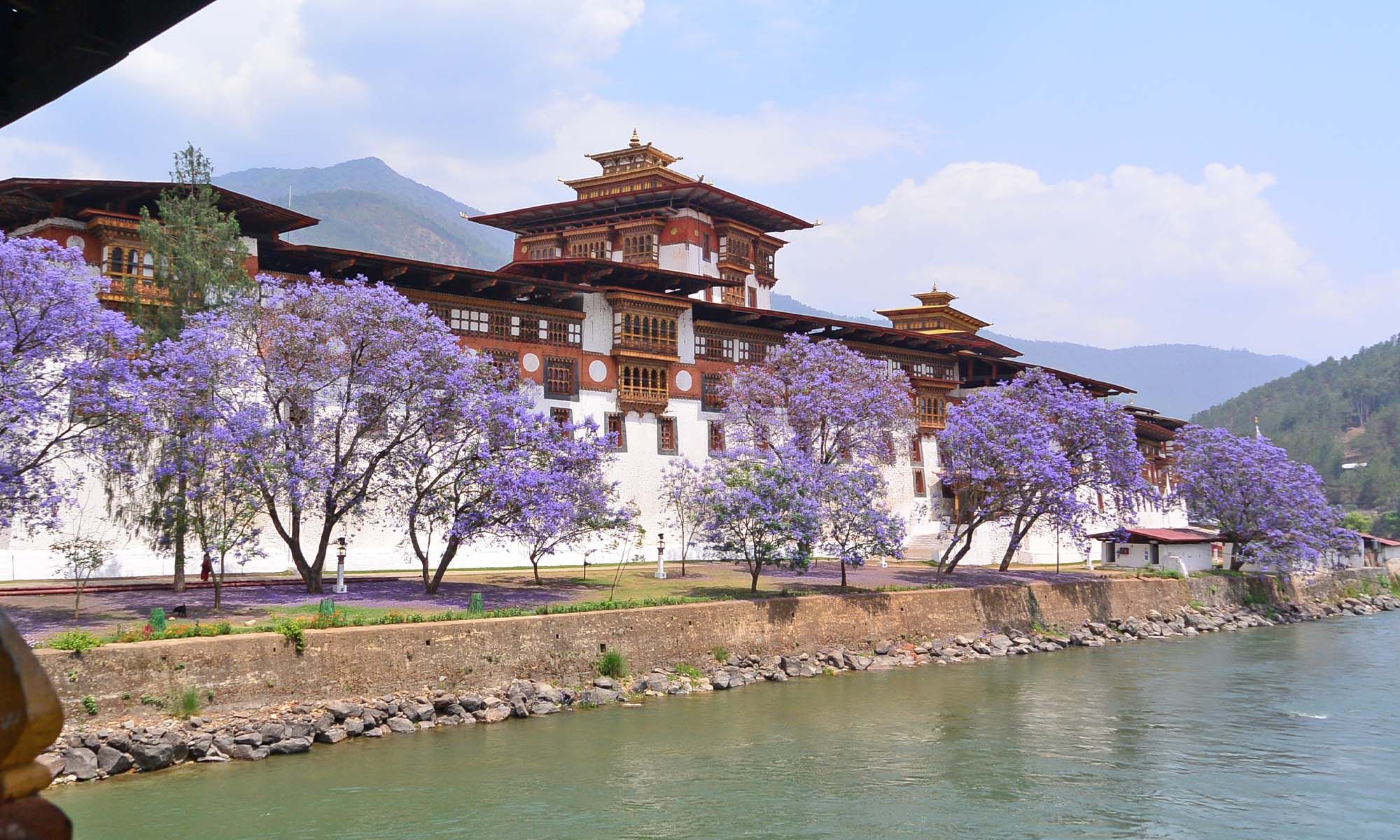 Punakha Dzongkhag Header2.jpg